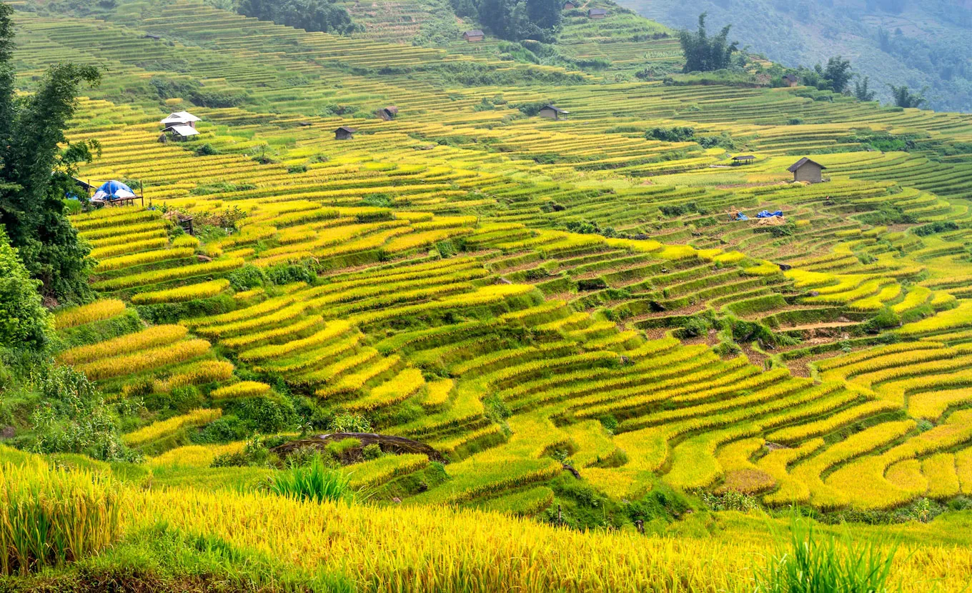 3 Days Trekking In Meo Vac - Dong Van Karst Plateau